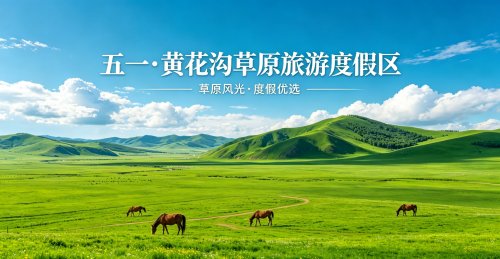 山野五一｜一片黄花沟，等你落款